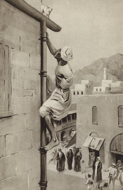 Walter Greenway grimpe à un tuyau, avec un bras, pour sauver un chat en détresse - English School